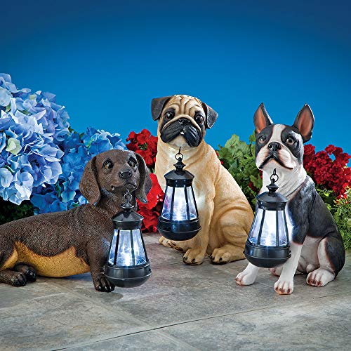 Bits And Pieces - Boston Terrier Solar Lantern Statue - Yard Decorations - Solar Powered Garden Lantern - Resin Dog Sculpture - Outdoor Led Lighting #TOP3