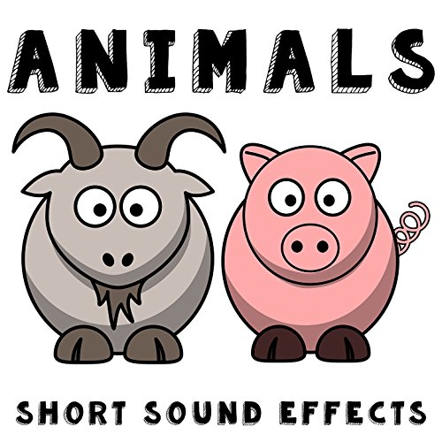 Animals, Short Sound Effects Text Sound Effects Digital