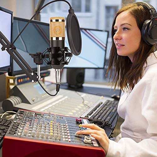 BM-800 Condenser Microphone Set, Professional Studio Condenser Microphone Kit with Condenser Microphone Stand Shock Mount Pop Filter for Studio Recording and Broadcasting