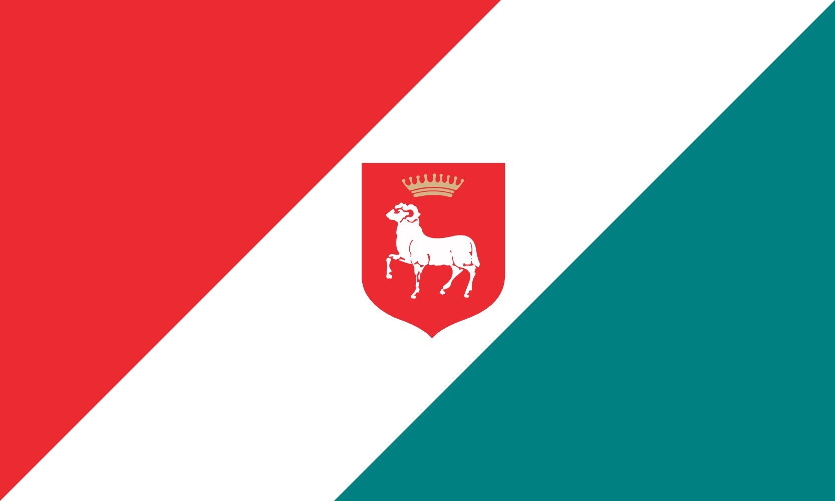 Drapeau large Karczew pour célébrations et décoration intérieure