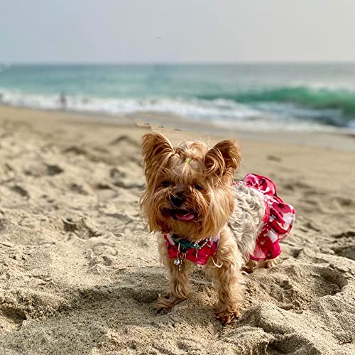 Image of Dog Bikini Swimsuit Summer Doggie Bathing Dress Leopard Rainbow Cat Skirt Beach Outfit for Puppy Dog Cat (S, Floral)
