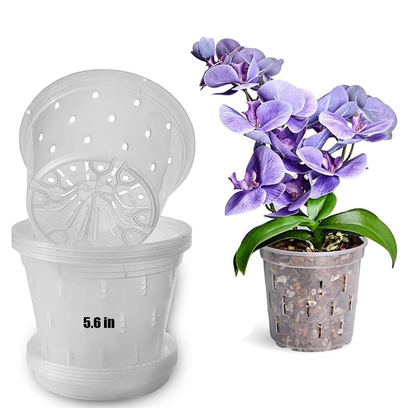 Pot à orchidée transparent de 14,2 cm avec trous et soucoupes pour rempotage réussi
