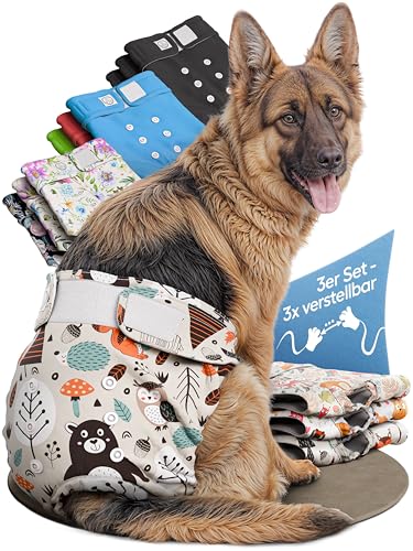 HUND IST KÖNIG Hundewindeln für Hündinnen (3 Stück) - Hochabsorbierende Läufigkeitshose für Hündinnen mit 3-Fach Justierung - Umweltfreundliche Hunde Windeln, Hundehöschen Läufigkeit & Inkontinenz