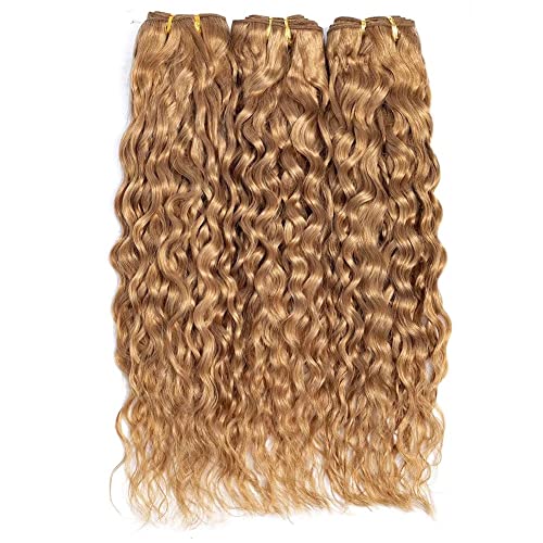 Aigemei Color 27 Brazilain Water Wave Human Hair Bundles Honey Blonde Brazilian Virgin Hair Weave Water Wave 3 Bundles 20 22 24 inch Unprocessed Virgin Human Hair Extensions