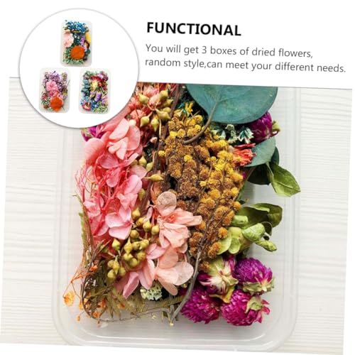 Flores Secas Realistas para Manualidades miniatura 4