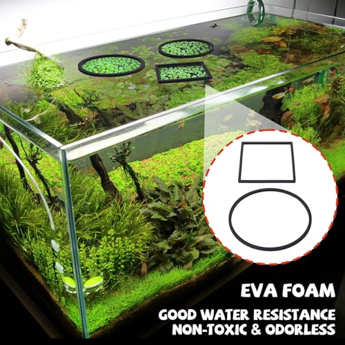 Image of 10pcs Fish Feeding Ring, Oval Square Aquarium Floating Plant Barriers, Mix Sizes EVA Fish Feeder Corral Aquarium Fish Tank Accessories for Betta Goldfish Turtle- Black