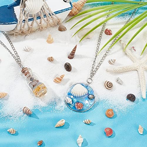 PandaHall Elite about 140g Tiny Sea Shell Ocean Beach Spiral Seashells Craft Charms for Candle Making Home Decoration Beach Theme Party Wedding Decor, Fish Tank and Vase Filler, No Hole