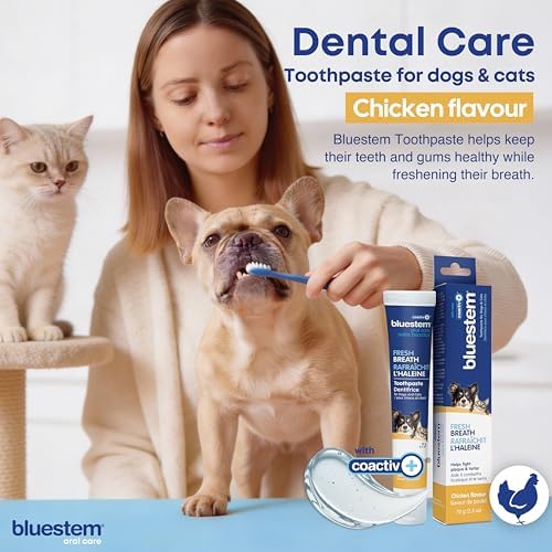 bluestem Cat and Dog Toothpaste – Scientifically Formulated Coactiv+ Pet Toothpaste Helps Reduce Plaque & Tartar, Freshens Breath, and Promotes Daily Dog and Cat Oral Care – Chicken Flavor (70g) - 1