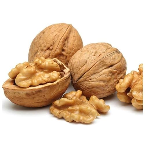 JUMBO WALNUTS IN SHELL 1KG
