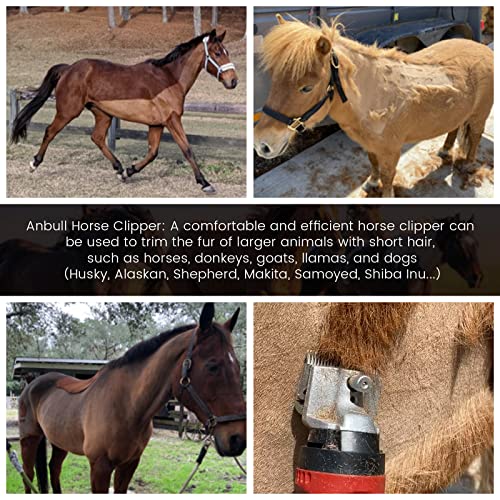 The 28 Best Horse Care Clippers of 2024 [Verified] Cherry Picks