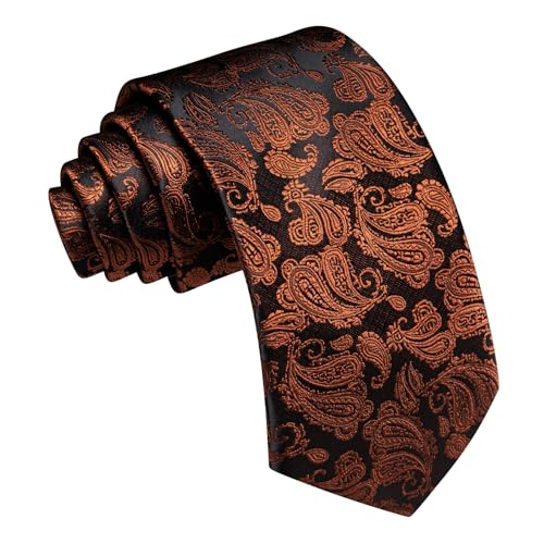 Image of Barry.Wang Paisley Tie for Men Silk Woven Necktie and Tie Clip Set Wedding Party Business Formal