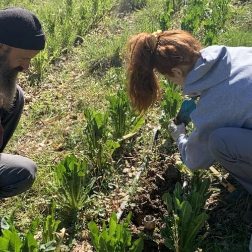 Nel Chianti l&rsquo;agricoltura sostenibile parla anche coreano