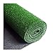 Gazon PING Artificiel 20 Mm Hauteur Poil Faux Synthétique Haute Densité Tapis Jardin for Animaux Compagnie Pelouse for Chien avec Trou Drainage Décoration Extérieure 5 Tailles (Color : 1×2m)
