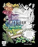 EDITION MICHAEL FISCHER