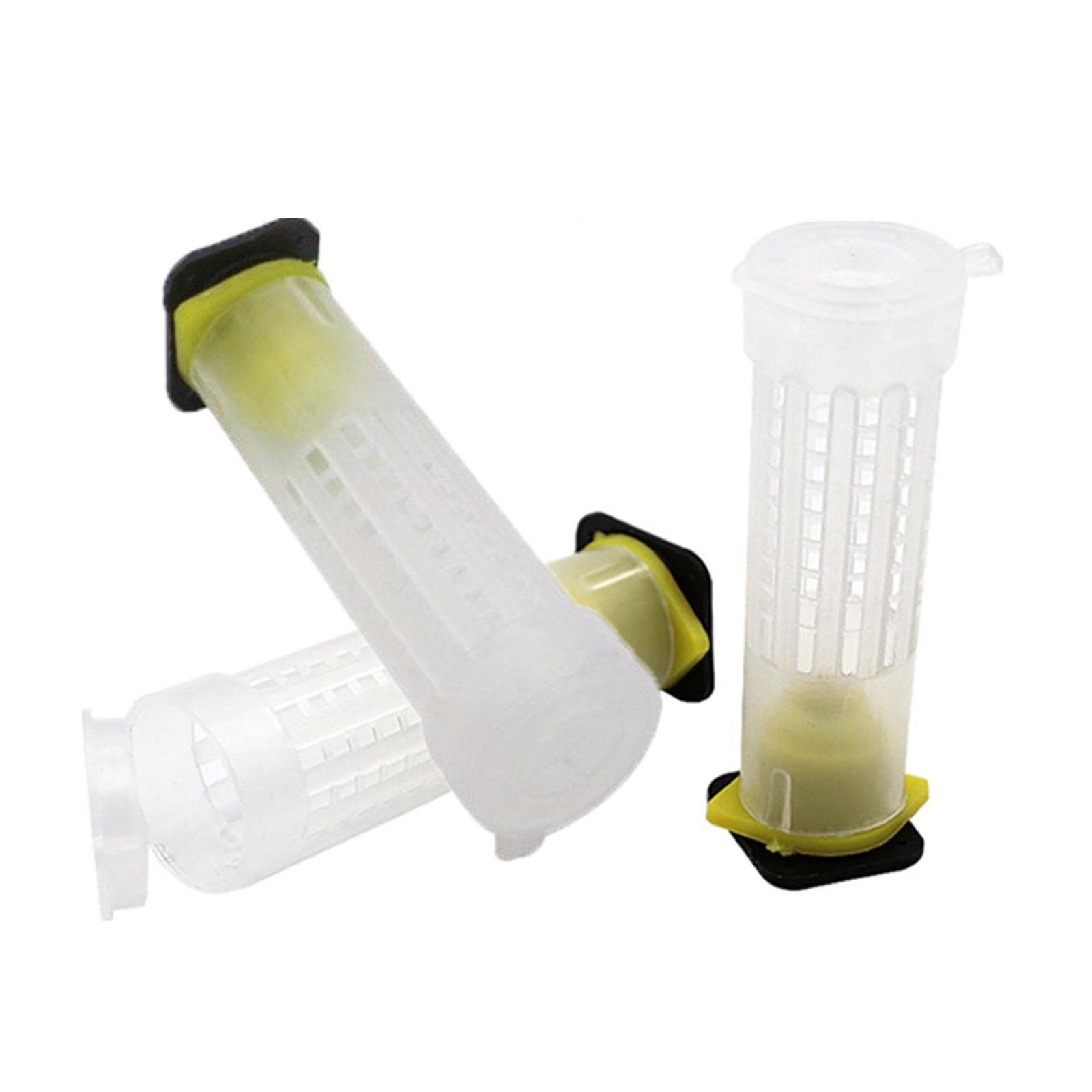 KESOTO Coffret D'élevage de Cages à Reines Contenant des Cellules Productives pour D'œufs et L'élevage de Reines