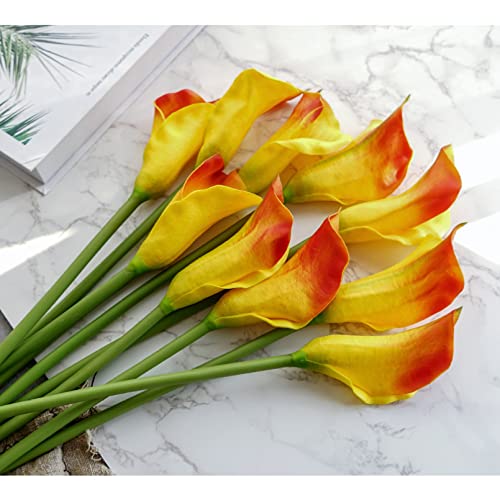  ͂Ȃ A[gt[ 10{ IW I_JCE  u[P CeA tFCN v[g Mtg Ǝ a EFfBO  Be ] o^Cf[ Be p z[ 뉀 Lb` ItBX i p[eB[ 