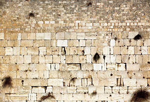 Pnylzzyxh Toile de fond Mur des Lamentations Jérusalem 10x10pi