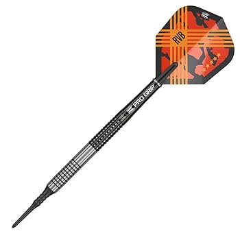 ターゲット RVB 95 ジェネレーション4 2BA 20g Amazon.co.jp: ターゲット RVB 95 レイモンド・ヴァン・バーナ