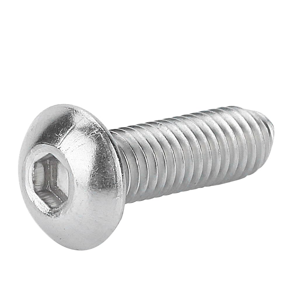 (M10 x 20 mm, 100 piezas) Juego de pernos de acero inoxidable M10, ideal para proyectos de carpintería y reparación, tornillos de cabeza redonda y cierres de cabeza de botón plateados
