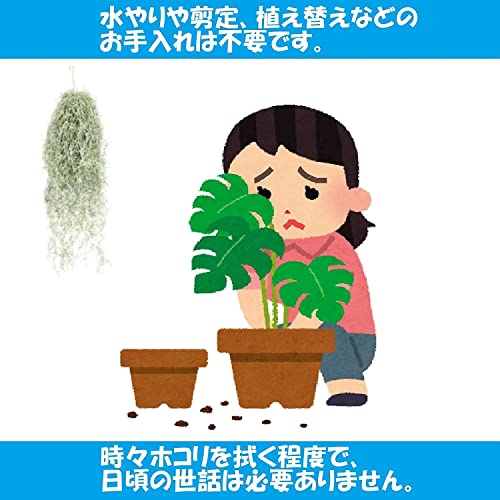 KINOKINO エアープランツ スパニッシュモス 造花 フェイクグリーン 吊り下げ 壁掛け 観葉植物 インテリア (約80cm) [4]