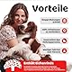 Wund- & Hautpuder für Hunde | Blutstillend & Heilungsfördernd | Tierärztlich getestet | Erste-Hilfe Wundpuder | Antibakteriell | DogsLife
