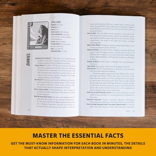 Image of The Lightning-Fast Field Guide to the Bible: Your Compact Companion for Exploring the Best Book Ever