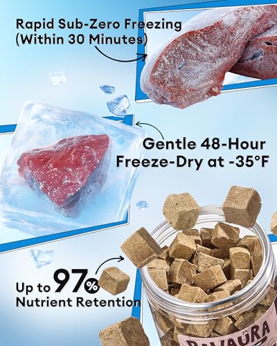 Freeze-Dried Beef Liver Treats for Dogs & Cats, 100g(493g Raw equivalent), Single Ingredient, High Protein, Grain Free Natural Pet Treats, Ideal for Training & Meal Toppers, Resealable Tub - Image 4