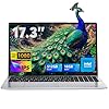 ACEMAGIC Laptop 2025, computadora portátil con pantalla FHD de 17.3 pulgadas con Quad Core-12th Alder Lake N97 (hasta 3.6 GHz), 16 GB de RAM DDR4 512 GB ROM, batería de 6000 mAh, plata