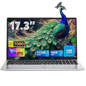 ACEMAGIC Laptop 2025, computadora portátil con pantalla FHD de 17.3 pulgadas con Quad Core-12th Alder Lake N97 (hasta 3.6 GHz), 16 GB de RAM DDR4 512 GB ROM, batería de 6000 mAh, plata