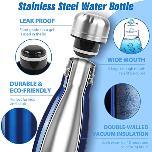 Sfee Insulated Water Bottle, 17Oz Stainless Steel Water Bottles, Double Wall Vacuum Reusable Water Bottles Leak Proof Bpa-Free Sports Bottle Cup Keep Hot&Cold For Running Gym Workout Cycling Kids #TOP2