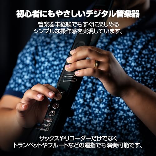 Akai Professional EWI 5000 ウインドシンセサイザー の商品画像 4
