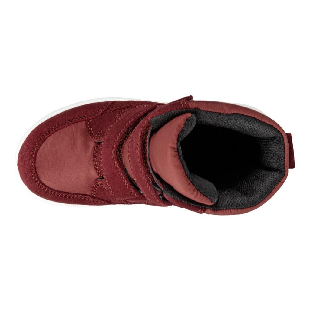 ECCO Urban Snowboarder, Snowboarders Urbanos