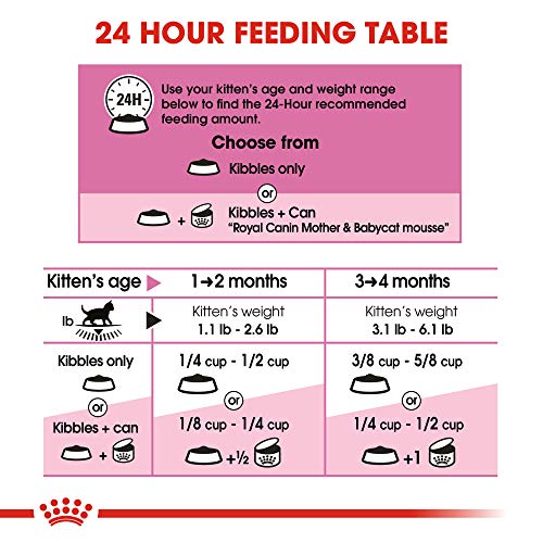 ROYAL CANIN FELINE HEALTH NUTRITION Mother & Babycat dry cat food, 3.5-Pound by Royal Canin