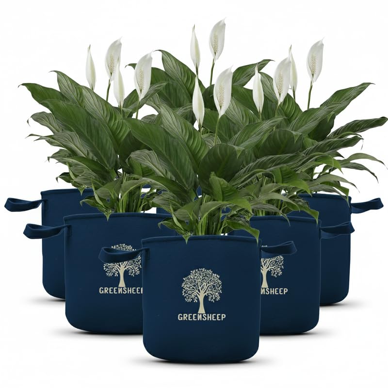 Image of GREENSHEEP Geo Fabric Grow Bags for Terrace Gardening, Balcony, Vegetables, Plants, Fruits and Flower with Handles - Breathable and Reusable Plant Bags for Indoor (Blue) (Pack of 5) (Size-24x24)