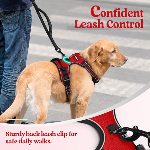 Image of rabbitgoo Dog Harness, No-Pull Pet Harness with 2 Leash Clips, Adjustable Soft Padded Dog Vest, Reflective No-Choke Pet Oxford Vest with Easy Control Handle for Large Dogs, Red, L