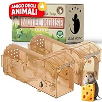 AJW-Piege Souris Maison Tapetteà Souris En Plastique Attrape Souris