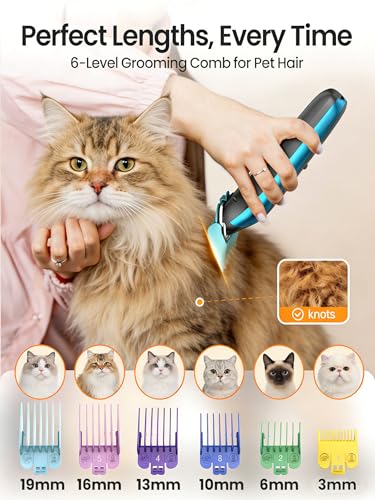oneisall Schermaschine Katze Leise & Pfotentrimmer 2 in 1 Set, Profi Schermaschine Katze Hund für langhaar verfilzt Fell, Leistungsstarke Tierhaarschneidemaschine für viele Haustiere