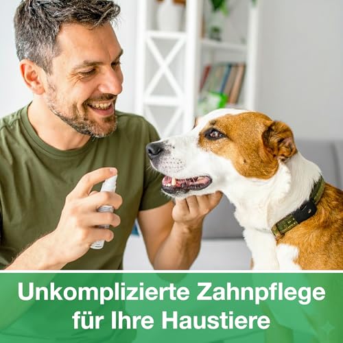 Alfavet VulnoCyn Dental 60 ml – Zahnpflegespray für Hunde, Katzen & Kleintiere – zur Maul- & Zahnhygiene – Dentalspray mit Minze gegen Mundgeruch