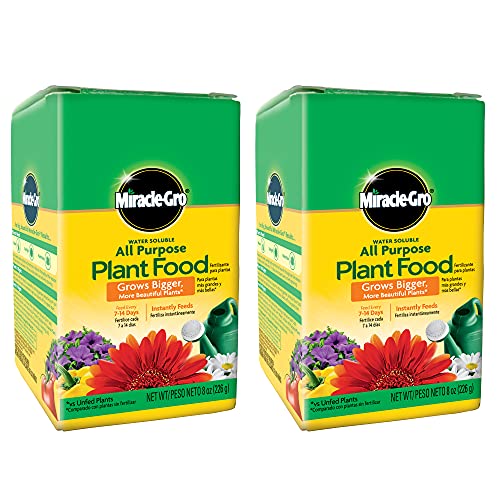 Image of Miracle-Gro Water Soluble All Purpose Plant Food, 8 oz. (2-Pack) | Fertilizer For All Indoor or Outdoor Plants including Roses, Flowers, Vegetables, Houseplants, Trees, and Shrubs