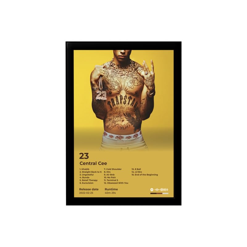 Image of BLINKART Central CEE- 23 Wall Photo Frames | Wall Art for Bedroom, Living Room, Studio or Office | Album Cover Print with Spotify Song Link QR Code | Gift for Fans - 8x12 In