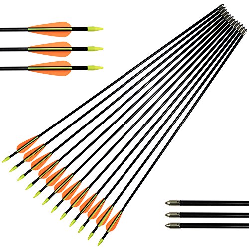 Nika Archery Fiberglass Arrows For Youth Practise Recurvebow Compound Bow Shooting 12X 24 Inch #TOP5