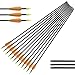 NIKA ARCHERY Fiberglass Arrows for Youth Practise Recurvebow Compound Bow Shooting 12X 24 inch