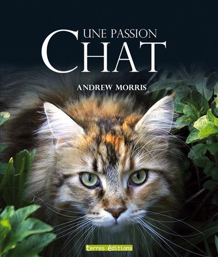 Chat une passion