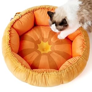 Lesure Cat Beds for Indoor Cats – Washable Cute Cat Beds with Versatile Dual-Use Design, Reversible Donut Pet Bed for Puppy and Kitten, 21x21x7 Inches