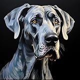 Merchandise for Fans