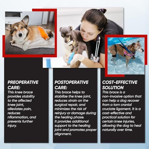 Hunde-Kniebandage – Bandage für Hinterbein, Bein oder Vorderbein, verstellbare Beinstütze für Hinterbeine, Bänderverletzungen, lindert Schmerzen und reduziert Schmerzen