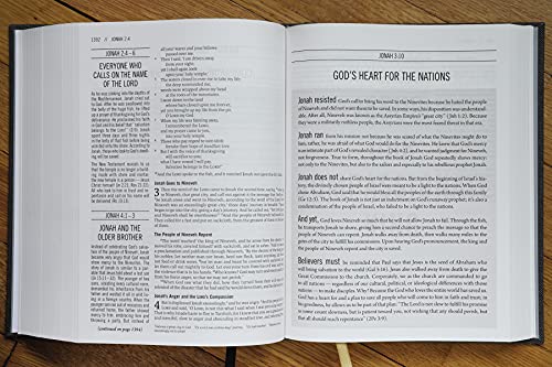 The Jesus Bible, ESV Edition, Cloth over Board, Gray - Image 14