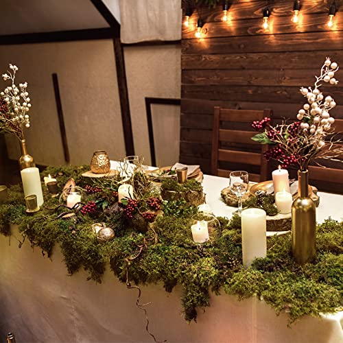 Alphatool 35 Oz Large Capacity Fake Moss For Potted Plants, Artificial Natrual Moss For Fake Plants Indoor, Moss For Home & Office Decor, Diy Crafts, Forest Moss For Hamsters #TOP7