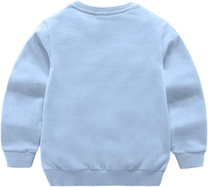 DCUTERQ Boys' Crewneck Thin Sweatshirt Girls Sport Long Sleeve Cotton Pullover Tops Kids Toddler Solid T-Shirt - Image 2