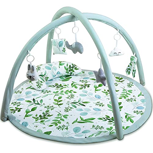 Find The Best Play Gyms For Babies Reviews & Comparison Katynel